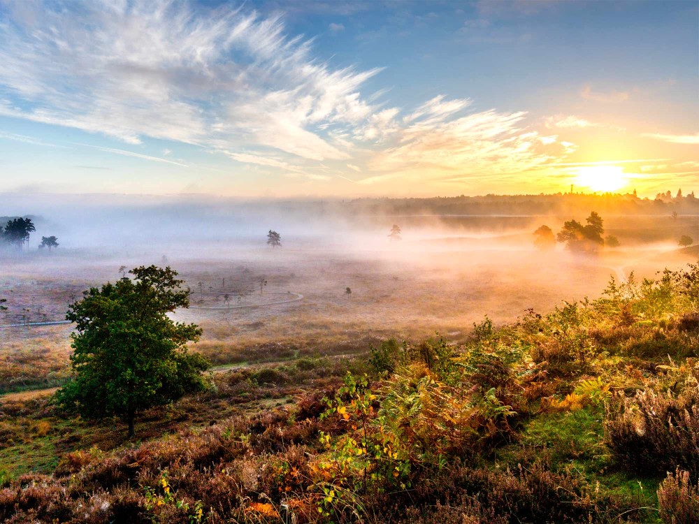 Dersingham bog sunset