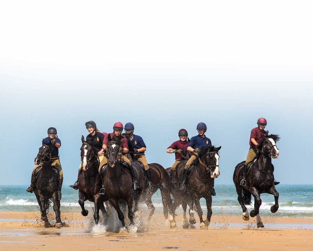 Holkham Beach Horse Riding