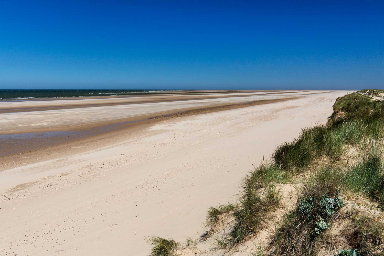 Holkham Beach