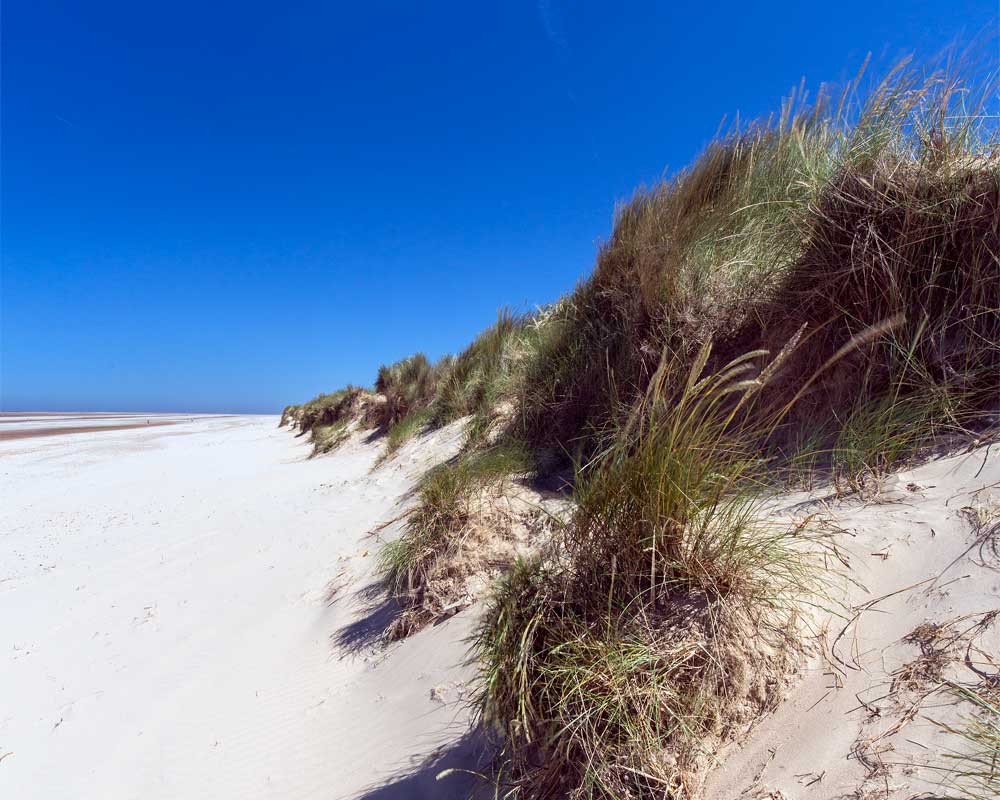 Holkham Beach Sand Dunes