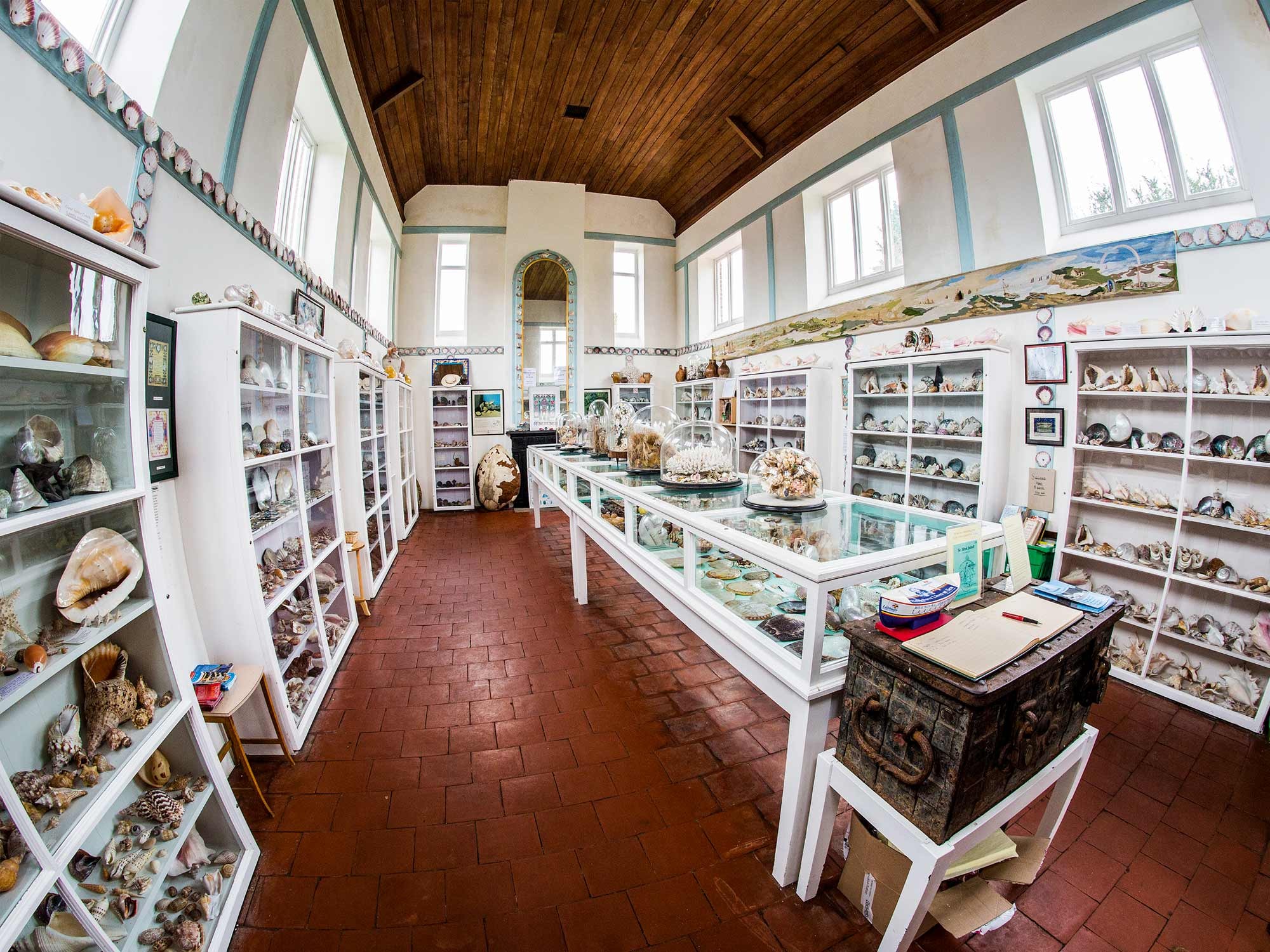 Inside the Shell Museum at Glandford