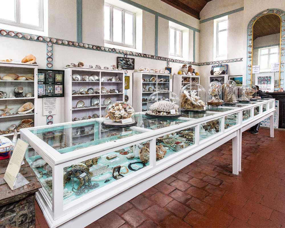 Glass cabinets at the Shell Museum at Glandford