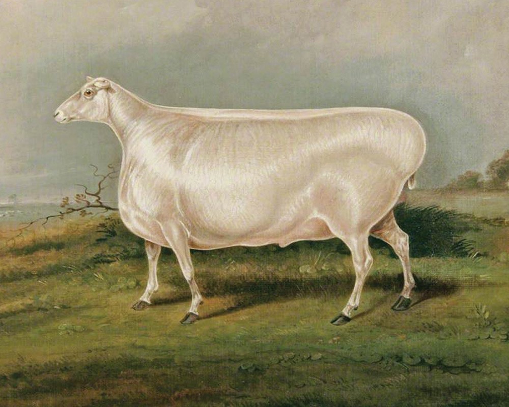 Painting of an Enormous sheep