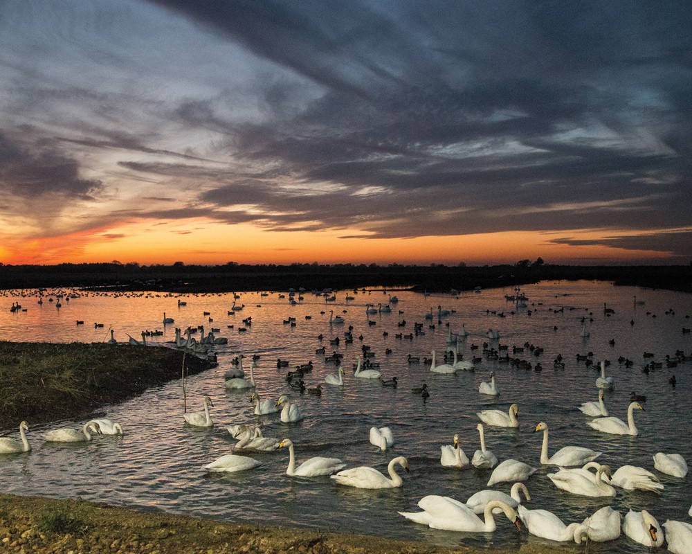 Main Lagoon at dusk