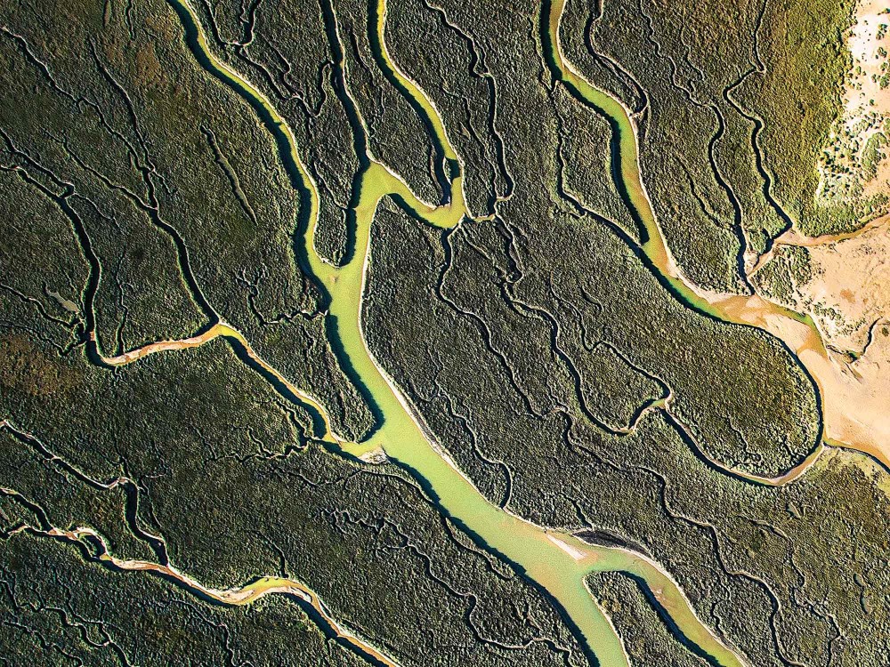 Top down saltmarshes image